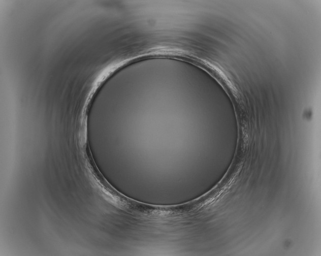 X0000094901371200712201124