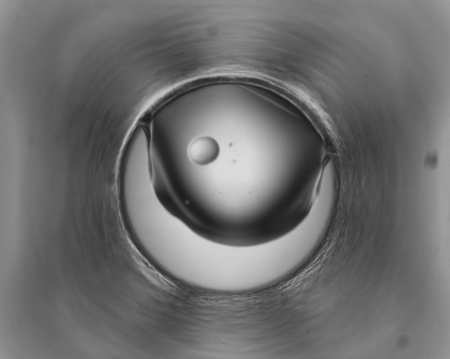 X0000094901372200712201124