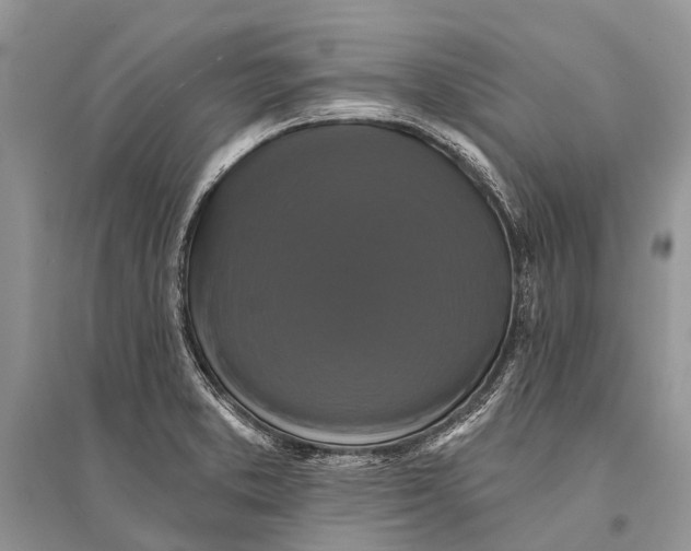 X0000094901373200712201124