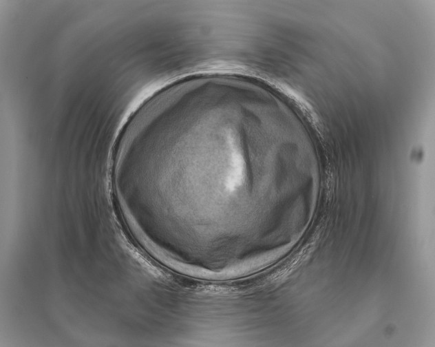 X0000094901374200712201124