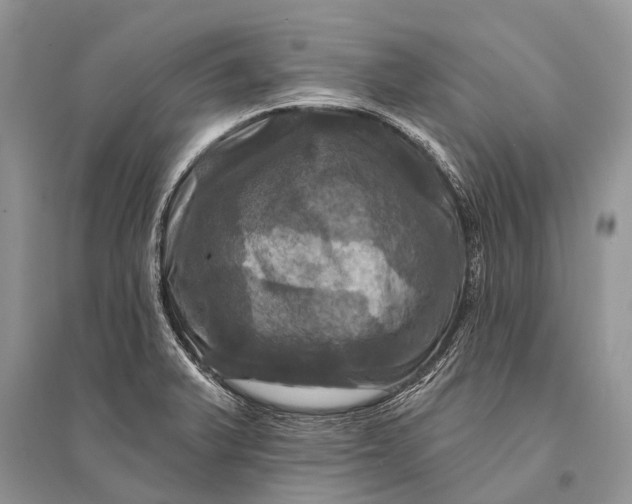 X0000094901375200712201124