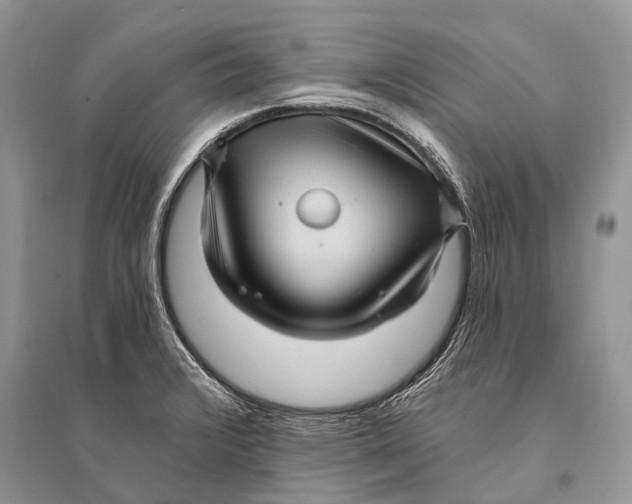 X0000094901376200712201124