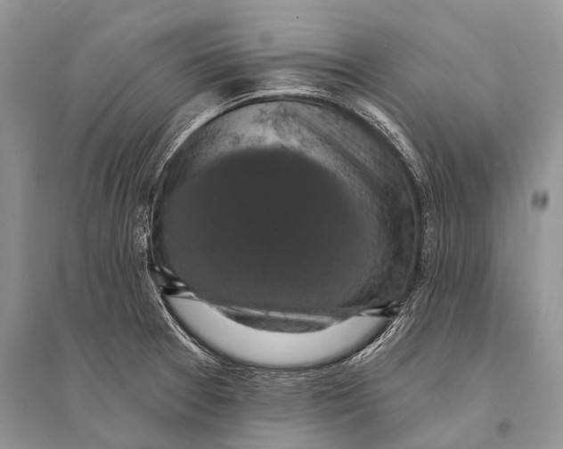 X0000094901377200712201124