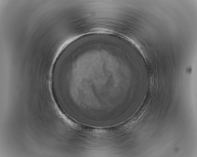 X0000094901379200712201124