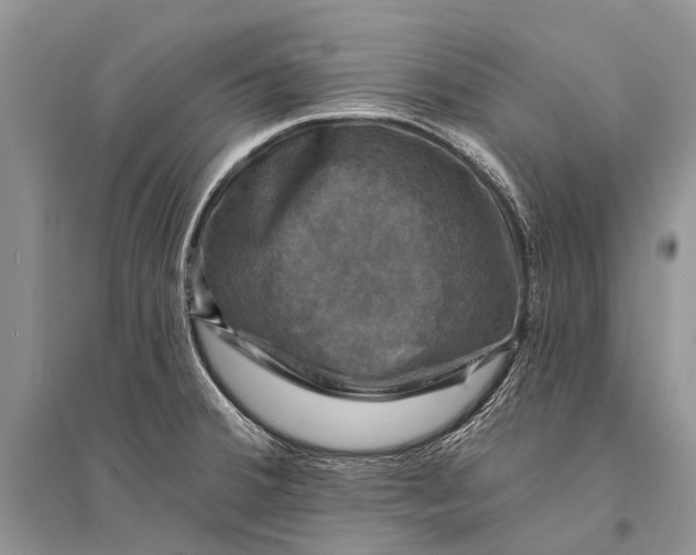 X0000094901380200712201124