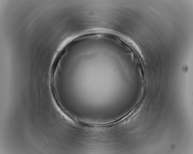 X0000094901381200712201124