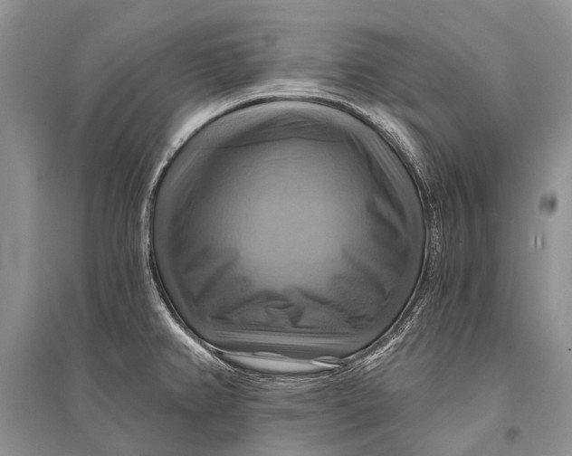 X0000094901382200712201124