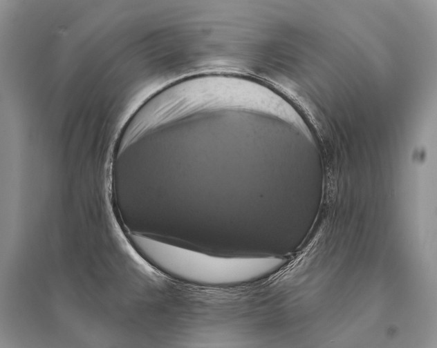 X0000094901383200712201124