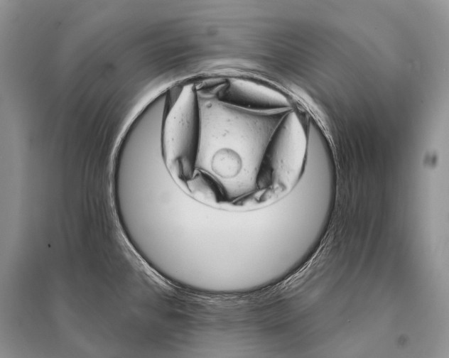 X0000094901384200712201124