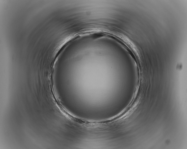 X0000094901385200712201124