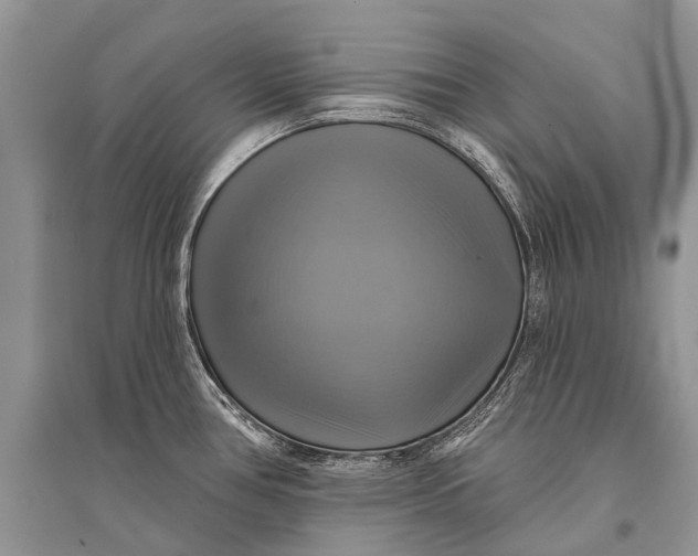 X0000094901386200712201124