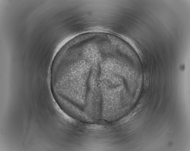 X0000094901387200712201124