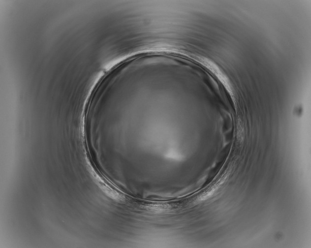 X0000094901388200712201124