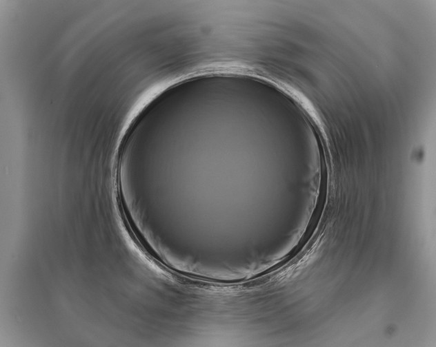 X0000094901389200712201124