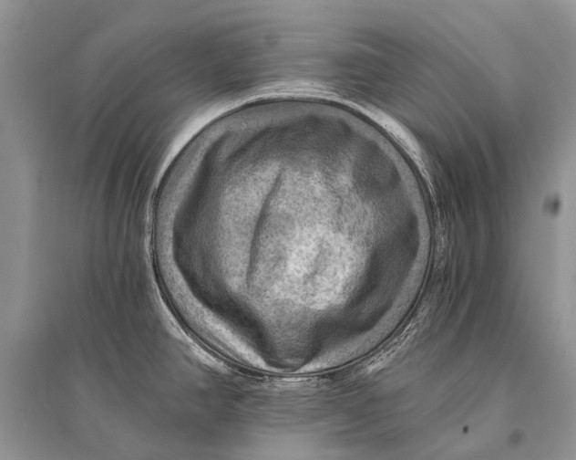 X0000094901390200712201124