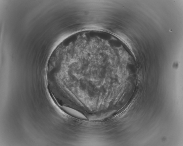 X0000094901391200712201124