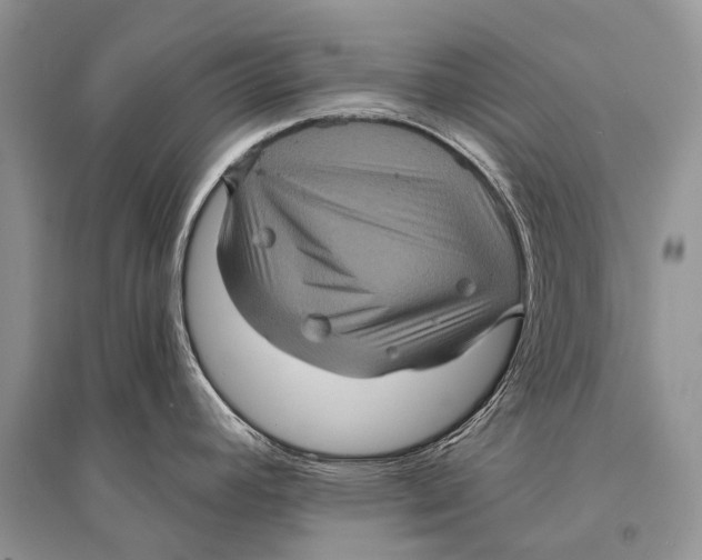 X0000094901392200712201124