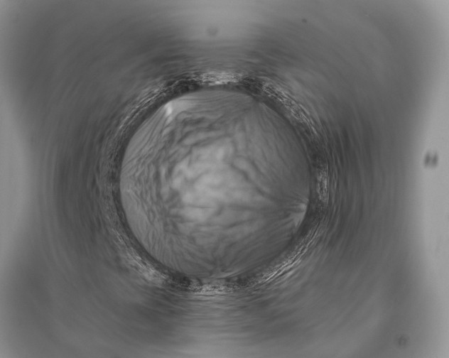 X0000094901393200712201123