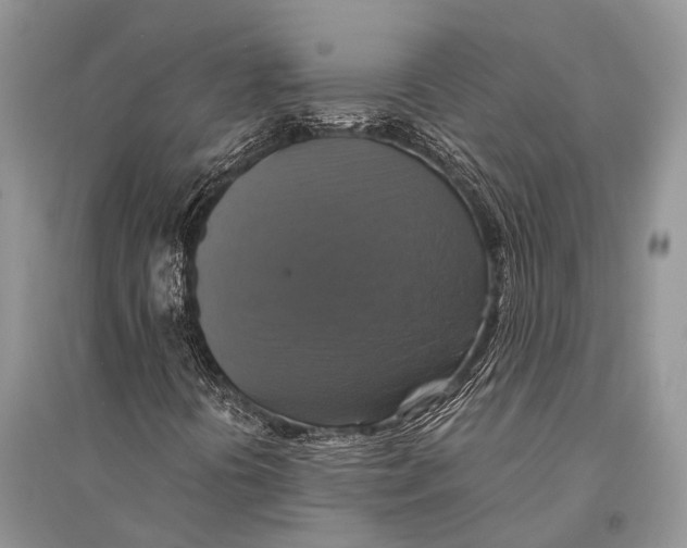 X0000094901394200712201123