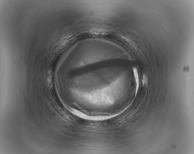 X0000094901396200712201123