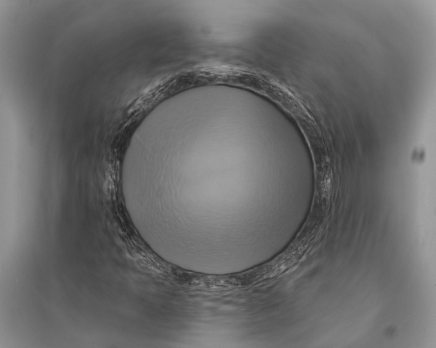 X0000094901397200712201123