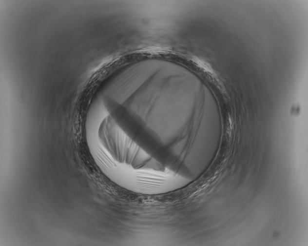 X0000094901398200712201123