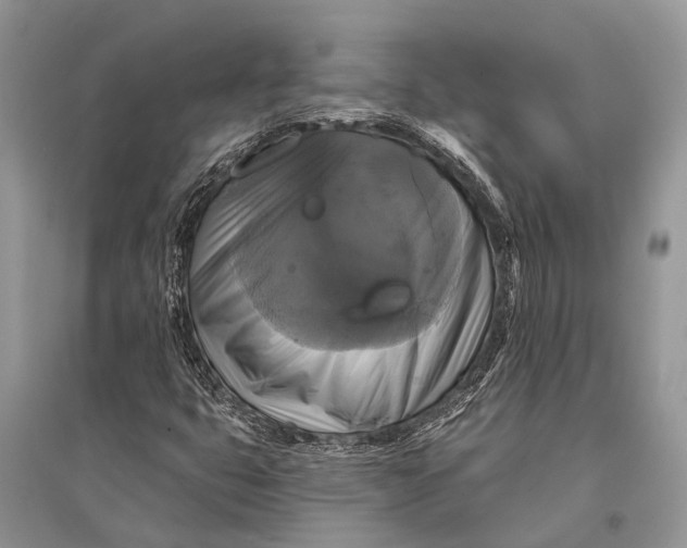 X0000094901399200712201123