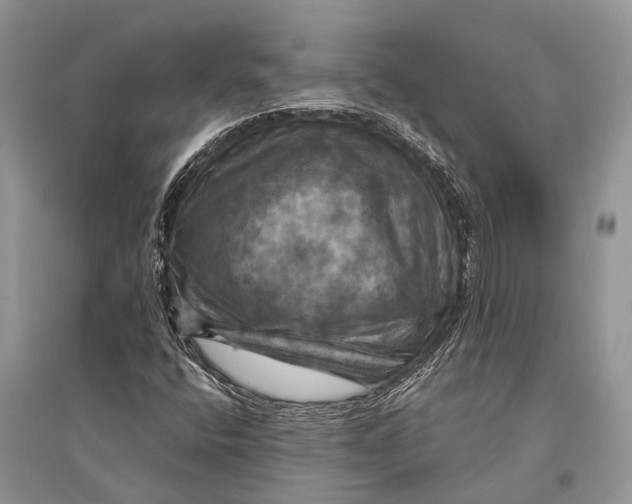 X0000094901400200712201123