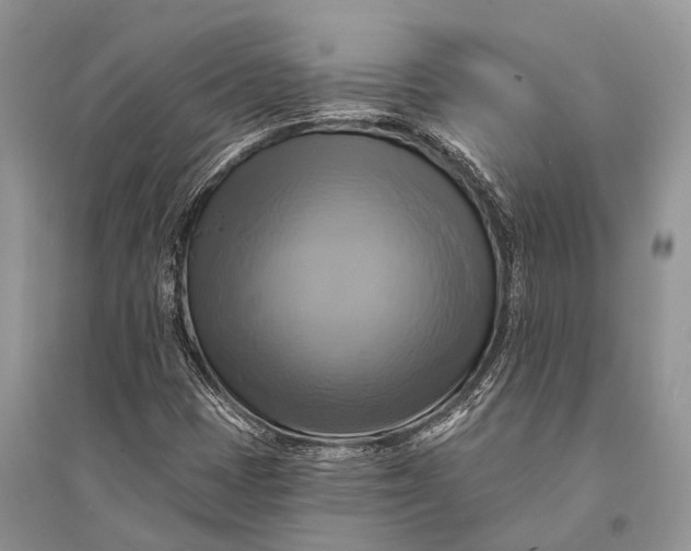 X0000094901401200712201123