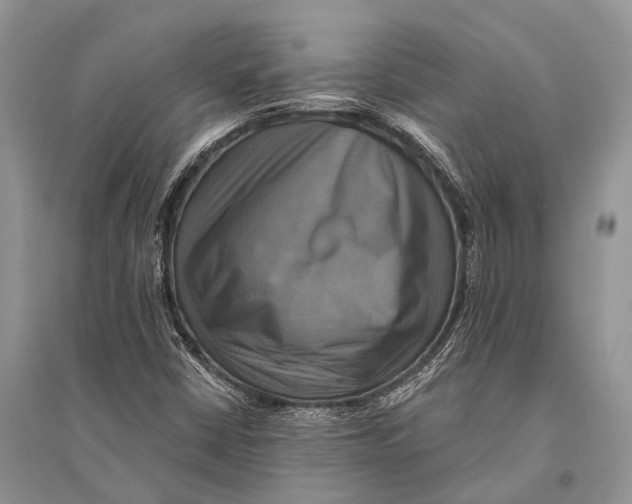 X0000094901402200712201123