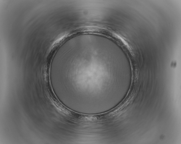 X0000094901403200712201123