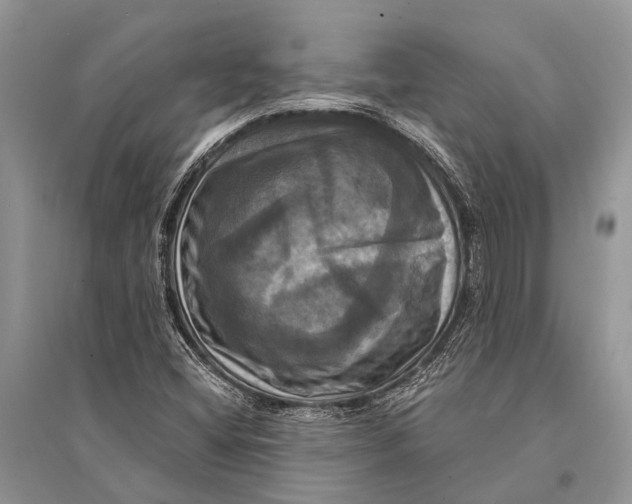 X0000094901404200712201123