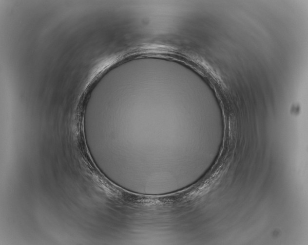 X0000094901405200712201123