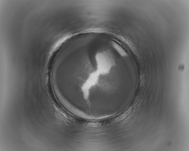 X0000094901406200712201123