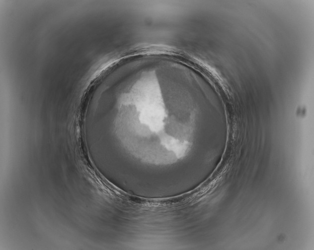 X0000094901407200712201123