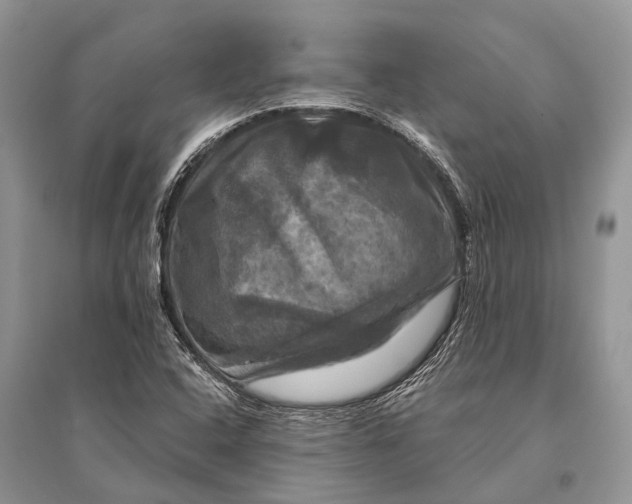 X0000094901408200712201123