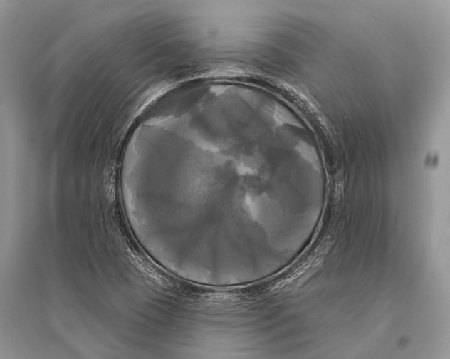 X0000094901409200712201123