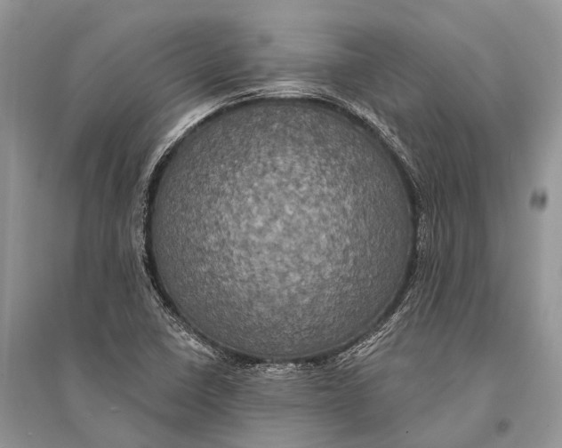 X0000094901410200712201123