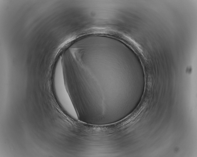 X0000094901411200712201123