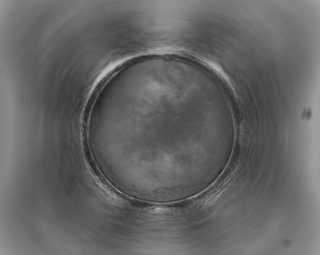 X0000094901412200712201123