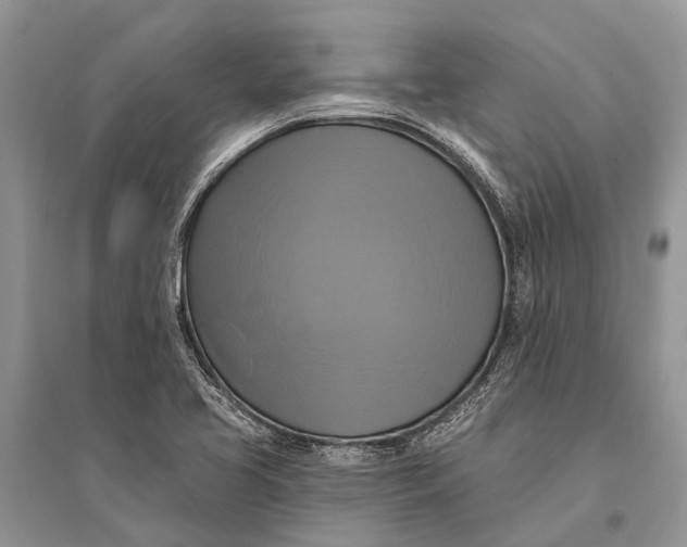 X0000094901413200712201123