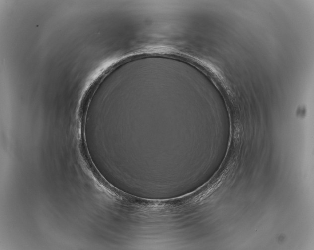 X0000094901414200712201123