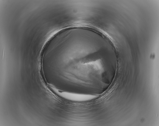 X0000094901415200712201123