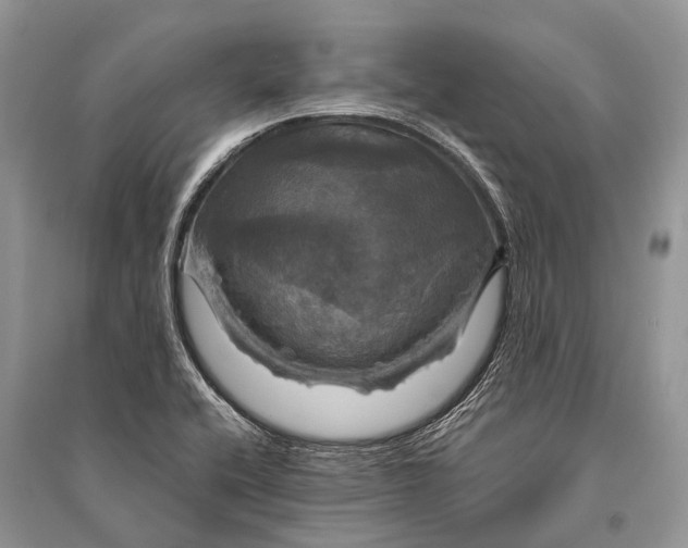 X0000094901416200712201123