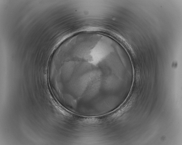 X0000094901417200712201123