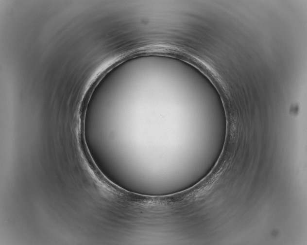 X0000094901418200712201123