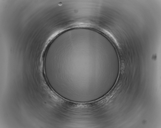 X0000094901419200712201123