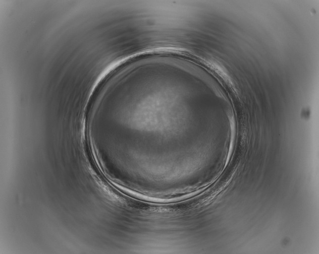 X0000094901420200712201124