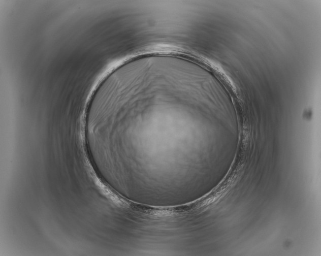 X0000094901421200712201124