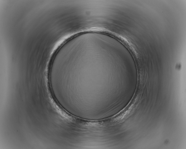 X0000094901422200712201124